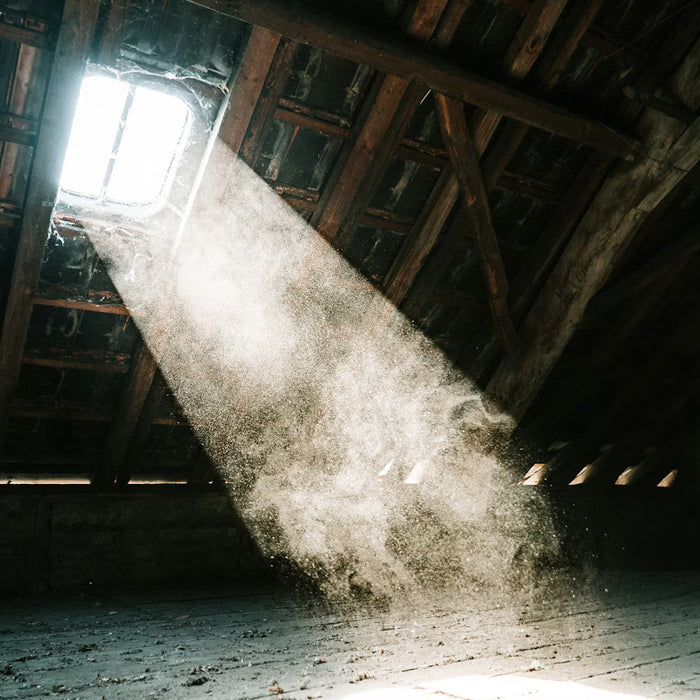 Top Tips For Working Safely In A Loft