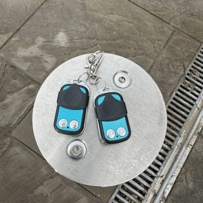 Ramco Auto Guard Battery Bollard